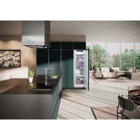 Liebherr SIFNAd 5188-22, Integrierbarer Gefrierschrank...