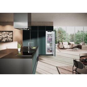 Liebherr SIFNAe 5188-20, integrated freezer with NoFrost...