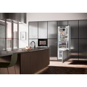 Liebherr ICBdi 5182-20, Integrierbare Kühl-Gefrierkombination mit BioFresh Professional und SmartFrost
