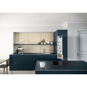 Liebherr DRe 4101-20, decorative refrigerator