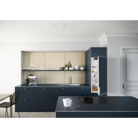 Liebherr DRe 4101-22, decorative refrigerator