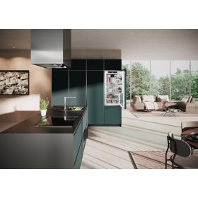 Liebherr IRBbi 4170-22, Integrierbarer Kühlschrank mit BioFresh Professional