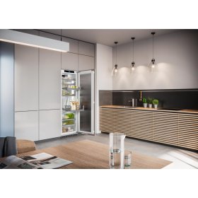 Liebherr IRBPci 5170-22, integrated refrigerator with BioFresh