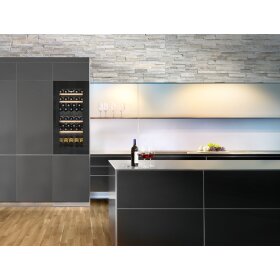 Liebherr EWTgb 2383-26, Einbaubarer Weintemperierschrank