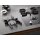 Miele CS 7102-1 FL SmartLine-Element 11402770, Schwarz