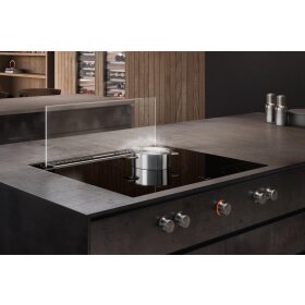 Gaggenau al200180, 200 series, table fan, 80 cm, clear glass