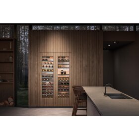 Gaggenau RW466365, Serie 400, Vario Weinklimaschrank, 212.5 x 60.3 cm