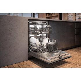 Gaggenau DF480100F, Serie 400, Geschirrspüler, 60 cm