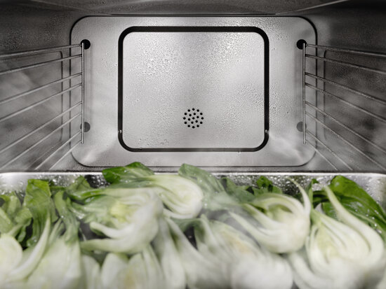 Miele Dampfgarer – DualSteam